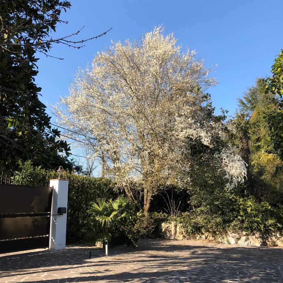 Casa Gramapa Villa Rocca Priora  Eksteriør bilde